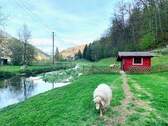 Idyllische Umgebung - Gemütliche DG-Wohnung im schönen Lautertal in Blaustein