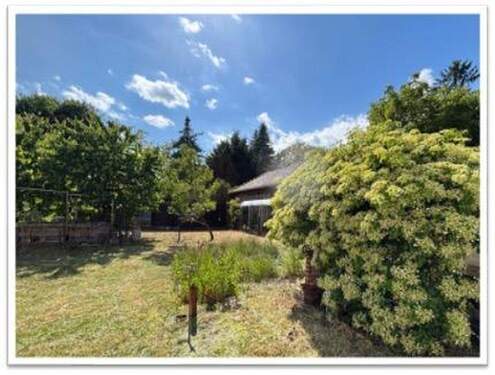 Blick in den Garten vom Haus - 3 Zimmer Einfamilienhaus in Zeuthen