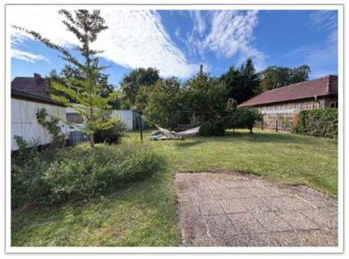 Blick in den Garten vom Haus - 
