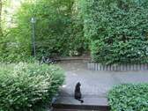Eingang mit Bijou - 