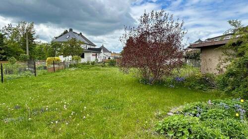 Blick in den Garten - 