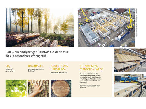 Holz – ein einzigartiger Baustoff - 