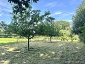 Apfelwiese - 