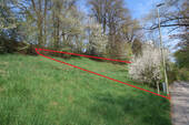 Bild8 - 