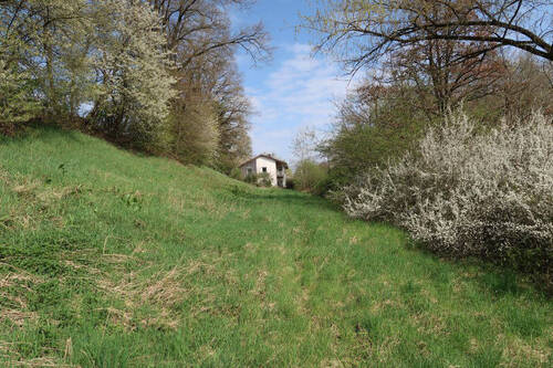 Bild9 - 