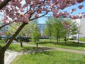 Innenhof im Frühling - 