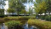 Innenhof mit Teich - 