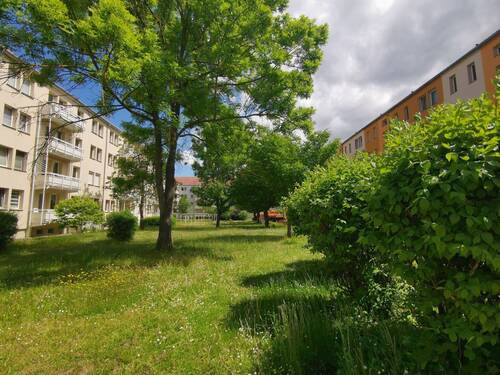 Grünes Umfeld - 