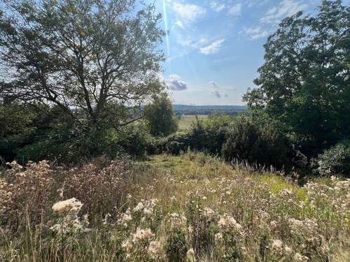 Blick auf Grundstück - 