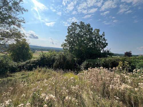 Blick auf Grundstück - 