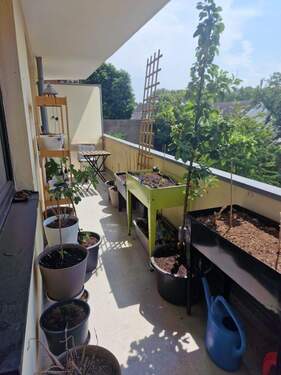 Balkon - 2 Zimmer Etagenwohnung zur Miete in Düsseldorf