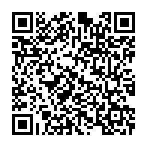 QR-Code - 