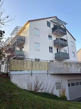 IMG-20251106-WA0040.jpg - 