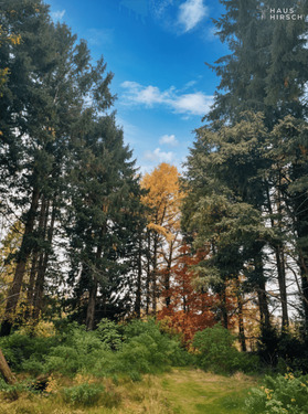 Blick aufs Grundstück - Grundstück in Hamburg