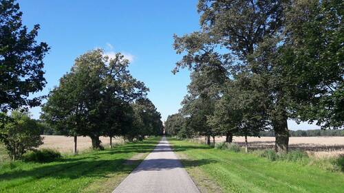Denkmalallee - 