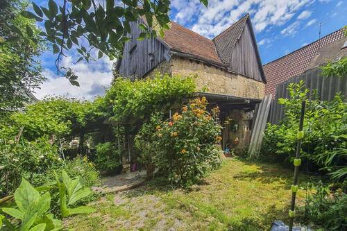 Garten im Sommer - 