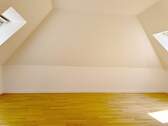 Zimmer DG - 
