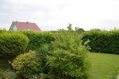 DSC_0044 - 