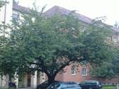 Hausansicht - 