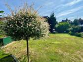 Gartenansicht - 