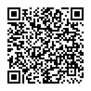 QR-Code - 