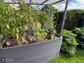 Hochbeet - 