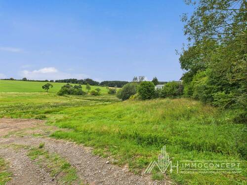 CAM04062G0-PR0038-STILL007 - 