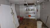 Betriebsfl. 2 - Mehrfamilienhaus, Wohnhaus mit 180,00 m² in Eschwege / Niederhone zum Kaufen