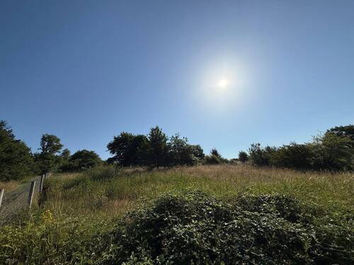 IMG_9021 - Grundstück in Kinderbeuern