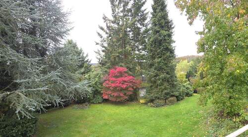 Gartenblick vom Balkon - 