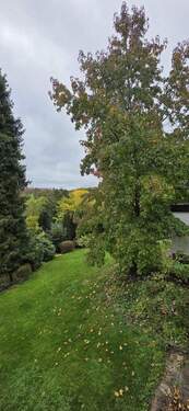 Balkonblick Ri. Nord-Osten - 