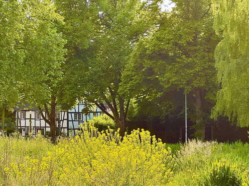 Weg am Bach zur Buchmühle - 