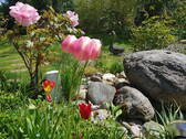 Garten 2 - 