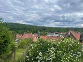 Ausblick vom Garten - 