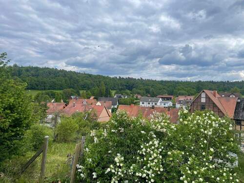 Ausblick vom Garten - 