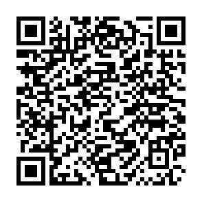 QR-Code - 