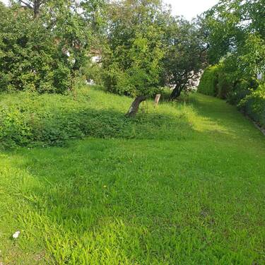 20250806_100326 - Kieselbronn,Bauplatz in sonniger, ruhiger Lage