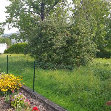 20250806_100406 - Grundstück zum Kaufen in Kieselbronn