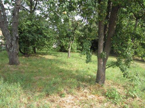 Eisinger Str. 15 - Grundstück in Kieselbronn