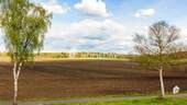 Ausblick - 