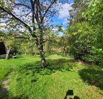 *Ruhe, Sonne und Natur pur!* Bauplatz für EFH am Hersbrucker Michelsberg