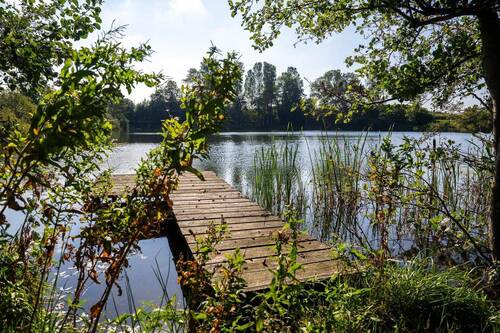 Bild 14 - 