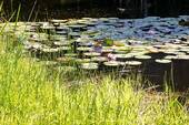 Bild 16 - 