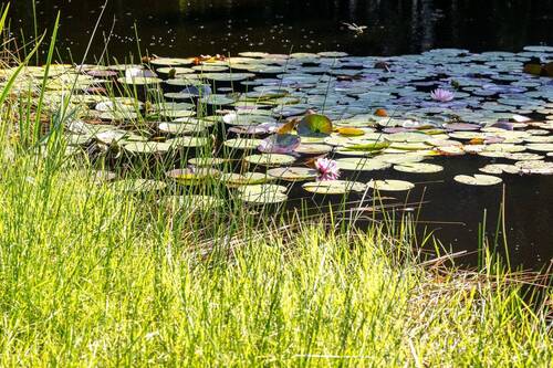 Bild 16 - 