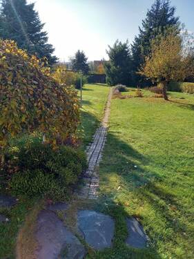 Blick in den Garten - 