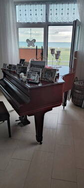 Bild 16 - 