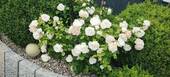 Bild 17 - 