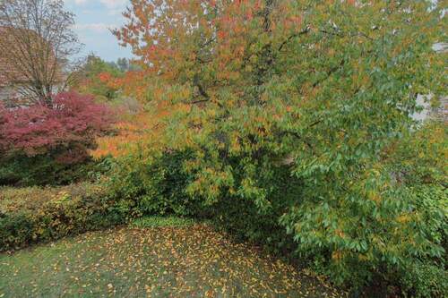 Ausblick - Einfamilienhaus in Magdeburg zum Kaufen