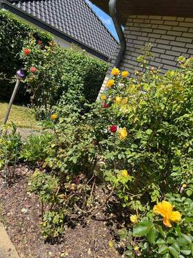 Garten - 