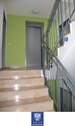 Treppenhaus - 3 Zimmer Etagenwohnung zur Miete in Dresden